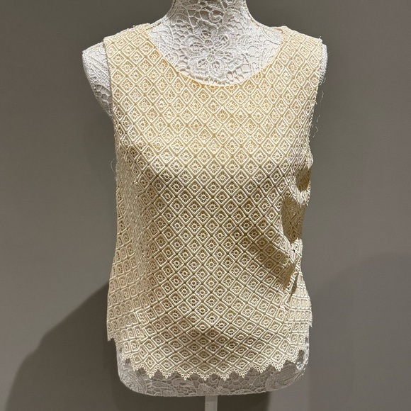Studio Jaz Tops - Chic Beige Sleeveless Lace Top